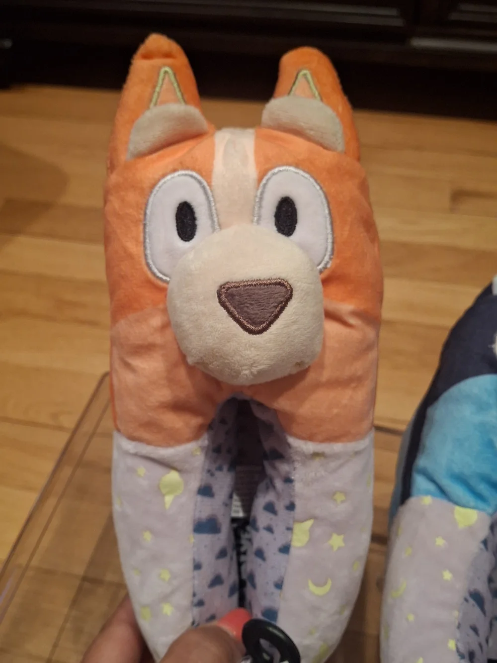 Bluey branded kids